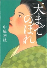 天までのぼれ　書影